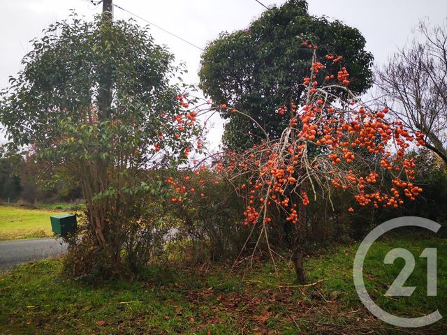 maison à vendre - 2 pièces - 200.0 m2 - AILLAS - 33 - AQUITAINE - Century 21 Lgi Immo