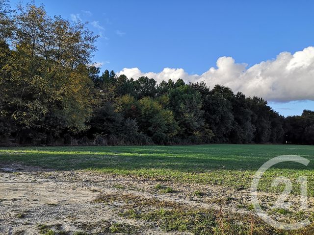 maison à vendre - 1 pièce - 100.0 m2 - LOUPIAC DE LA REOLE - 33 - AQUITAINE - Century 21 Lgi Immo