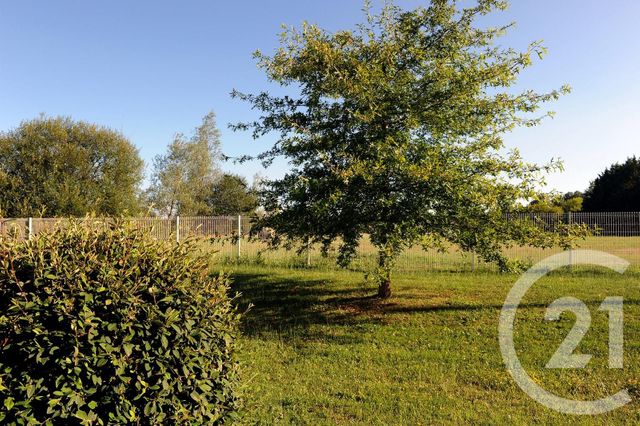 Appartement F2 à louer - 2 pièces - 33.36 m2 - LANGON - 33 - AQUITAINE - Century 21 Lgi Immo