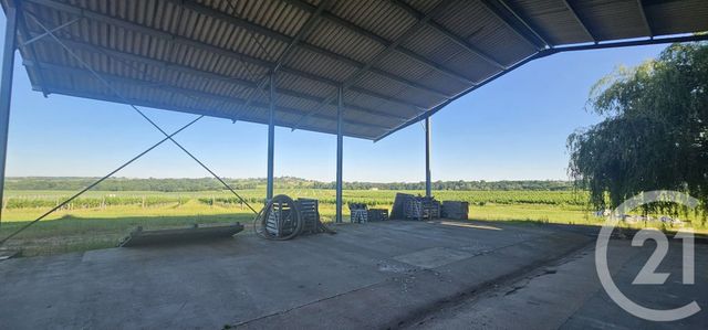 maison à vendre - 1 pièce - 100.0 m2 - ST MARTIAL - 33 - AQUITAINE - Century 21 Lgi Immo