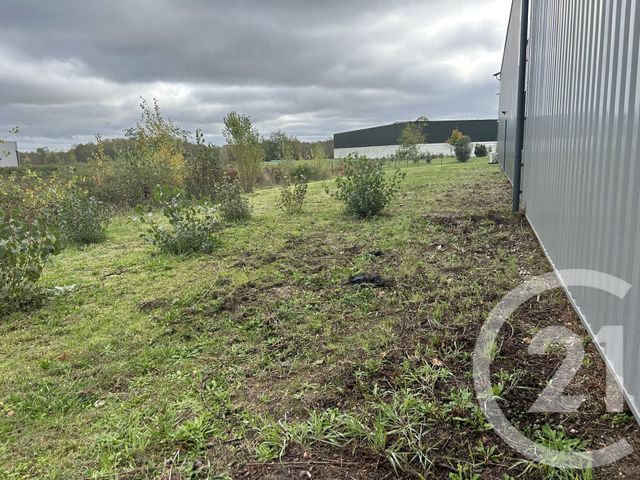 terrain à vendre - 920.0 m2 - LANGON - 33 - AQUITAINE - Century 21 Lgi Immo