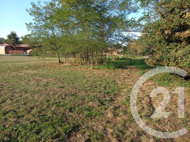 terrain à vendre - 3682.0 m2 - GRIGNOLS - 33 - AQUITAINE - Century 21 Lgi Immo