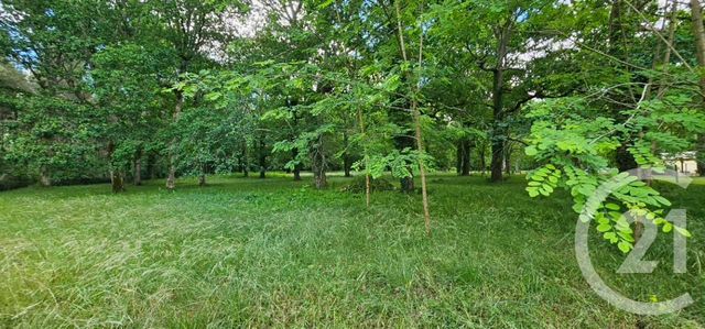 maison à vendre - 4 pièces - 92.0 m2 - NOAILLAN - 33 - AQUITAINE - Century 21 Lgi Immo