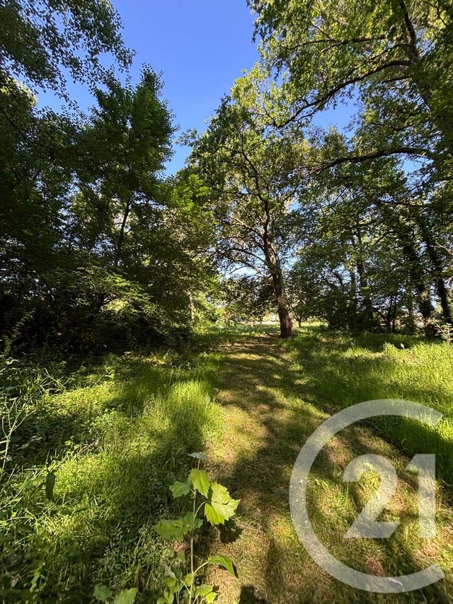 maison à vendre - 5 pièces - 137.0 m2 - BARSAC - 33 - AQUITAINE - Century 21 Lgi Immo