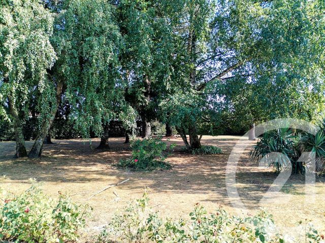 maison à vendre - 5 pièces - 115.0 m2 - CASTETS ET CASTILLON - 33 - AQUITAINE - Century 21 Lgi Immo
