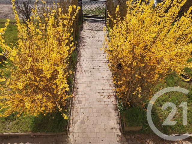 maison à vendre - 8 pièces - 165.0 m2 - AUROS - 33 - AQUITAINE - Century 21 Lgi Immo