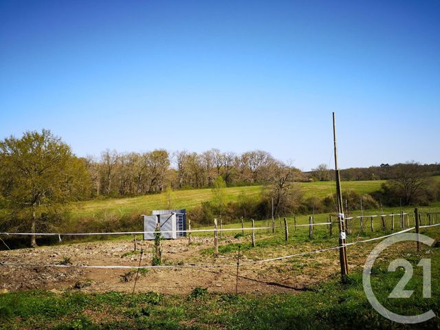 maison à vendre - 5 pièces - 165.0 m2 - BAZAS - 33 - AQUITAINE - Century 21 Lgi Immo maison à vendre - 5 pièces - 165.0 m2 - BAZAS - 33 - AQUITAINE - Century 21 Lgi Immo