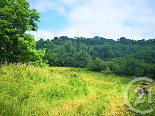 maison à vendre - 5 pièces - 165.0 m2 - BAZAS - 33 - AQUITAINE - Century 21 Lgi Immo maison à vendre - 5 pièces - 165.0 m2 - BAZAS - 33 - AQUITAINE - Century 21 Lgi Immo