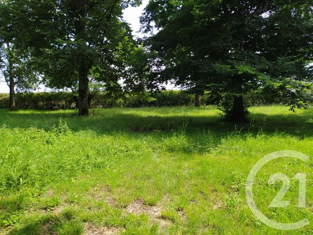 Afficher la photo en grand maison à vendre - 13 pièces - 375.0 m2 - MARMANDE - 47 - AQUITAINE - Century 21 Lgi Immo