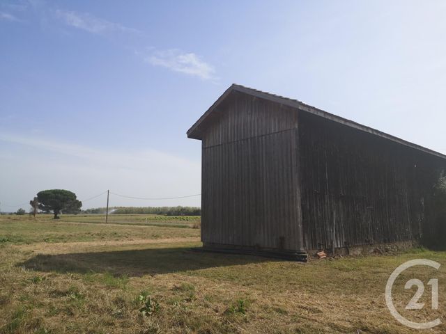 Maison à vendre PUYBARBAN
