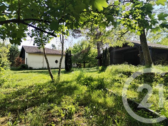 maison à vendre - 6 pièces - 185.0 m2 - VILLANDRAUT - 33 - AQUITAINE - Century 21 Lgi Immo